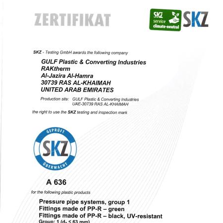 SKZ6